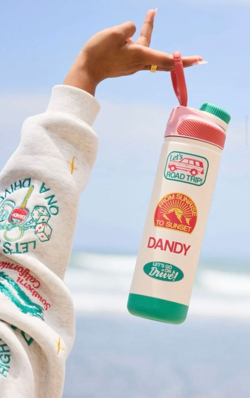 Starbucks x Dandy Limited Edition Stainless Road Trip Water Bottle 26oz NEW!